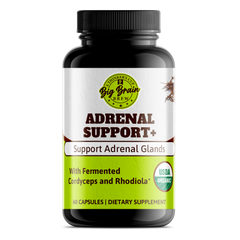 Adrenal Support+ (Fermented Support Elixir)