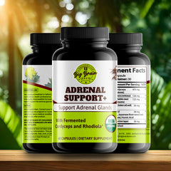 Adrenal Support+ (Fermented Support Elixir)