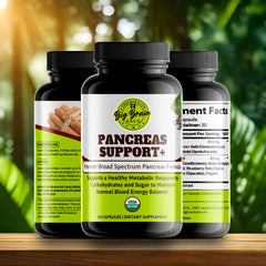 Pancreas Support+ (Premier Support Elixir)