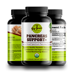 Pancreas Support+ (Premier Support Elixir)