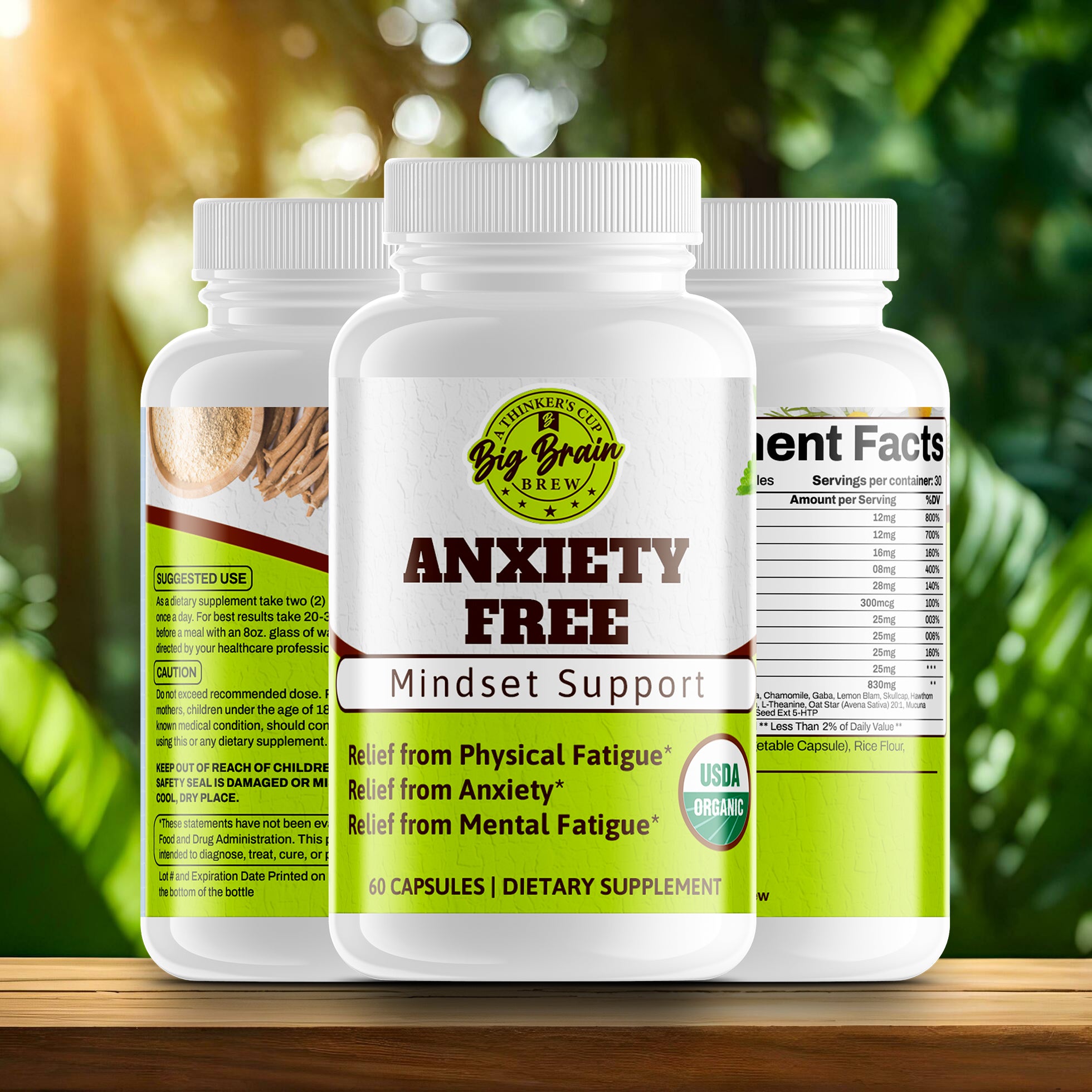 Anxiety Free (Mindset Support)